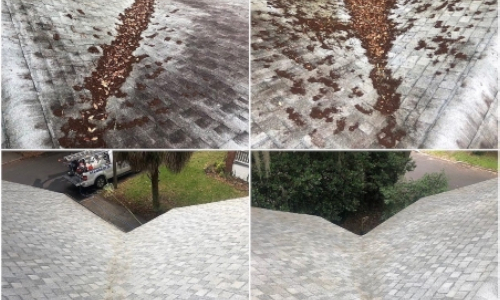 Roof Cleaning